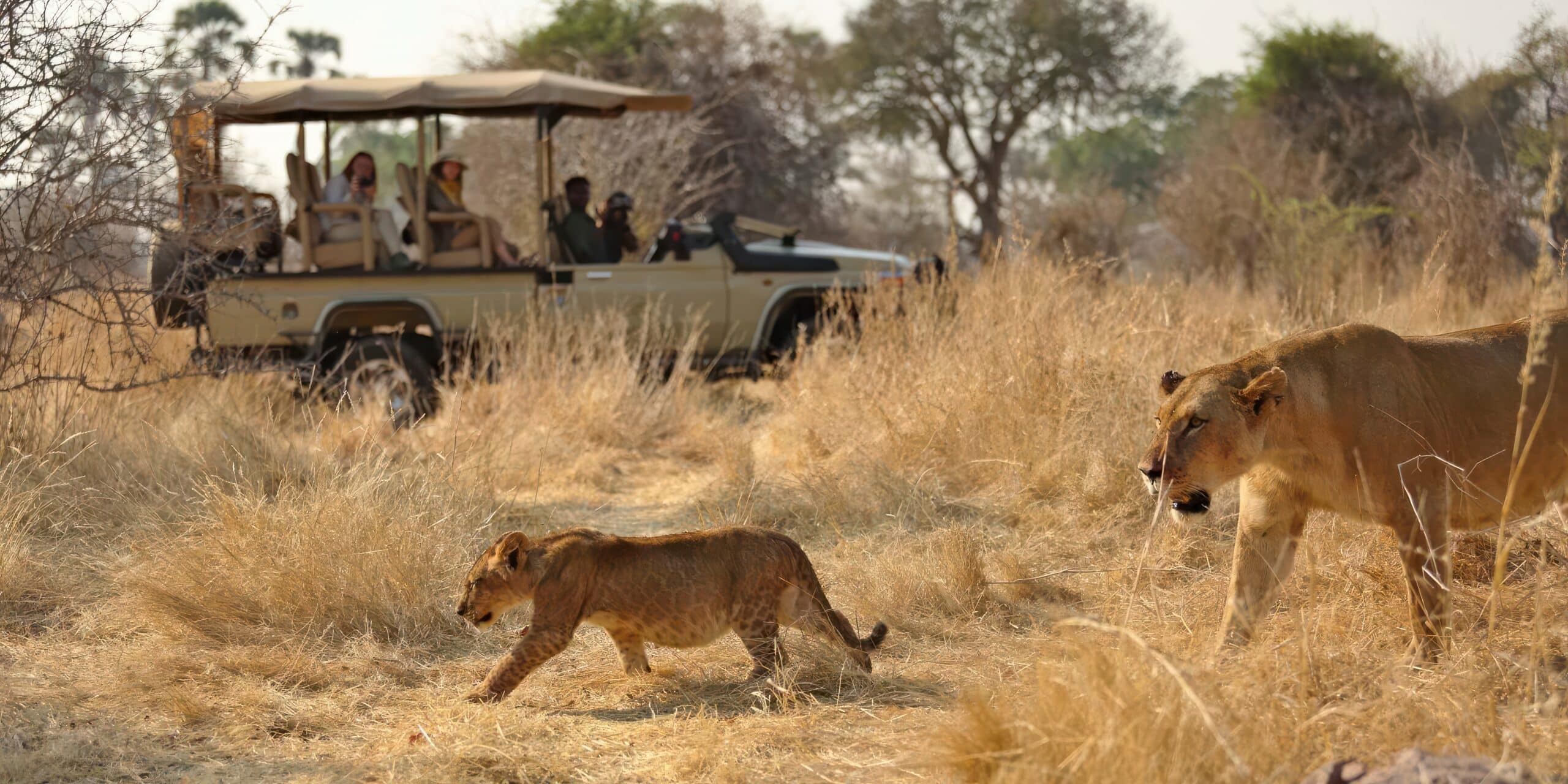 ruaha national park