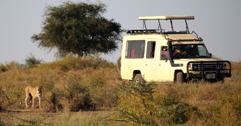 5-Day Private Safari to Serengeti Ngorongoro & Tarangire