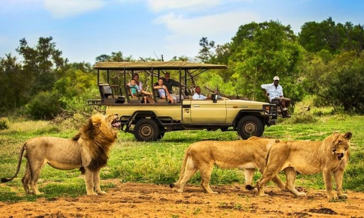5-Day Private Safari to Serengeti Ngorongoro & Tarangire