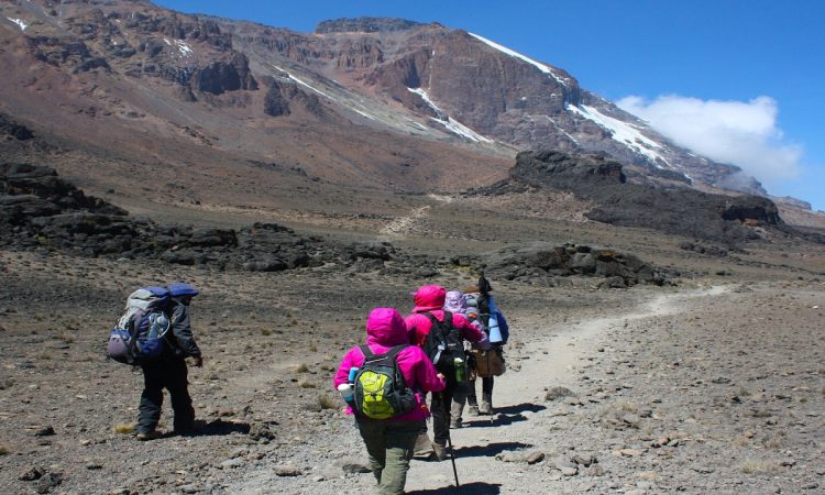 7 Days Rongai Route