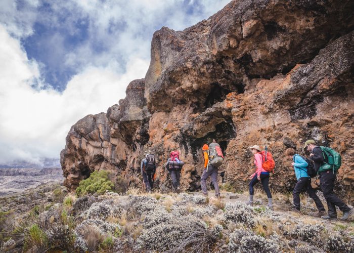 8 Days Lemosho Route