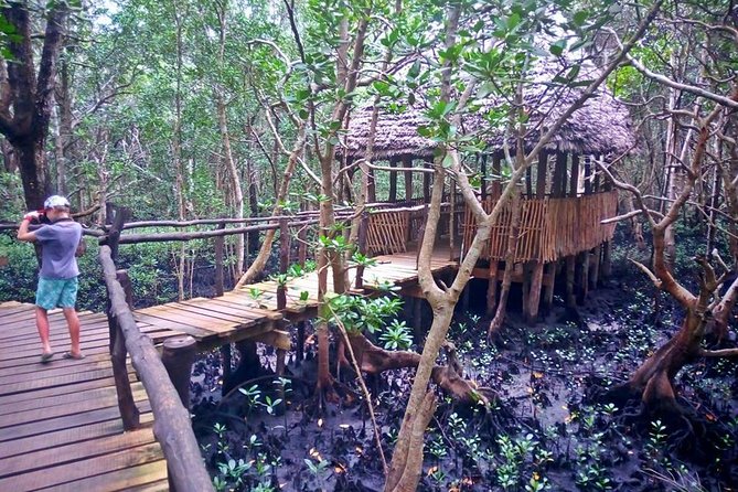 Jozani Forest tour Zanzibar