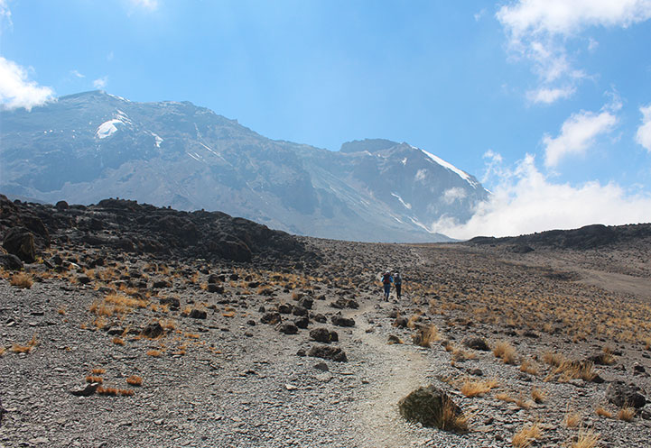 8 Days Lemosho Route