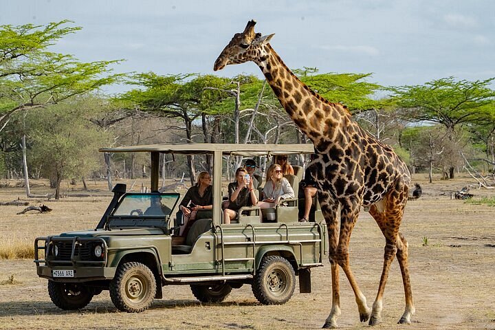 Nyerere National Park