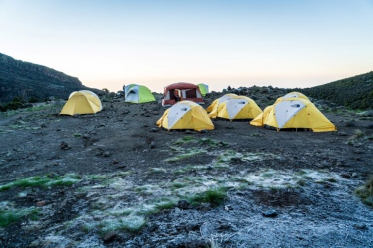 7 Days Rongai Route