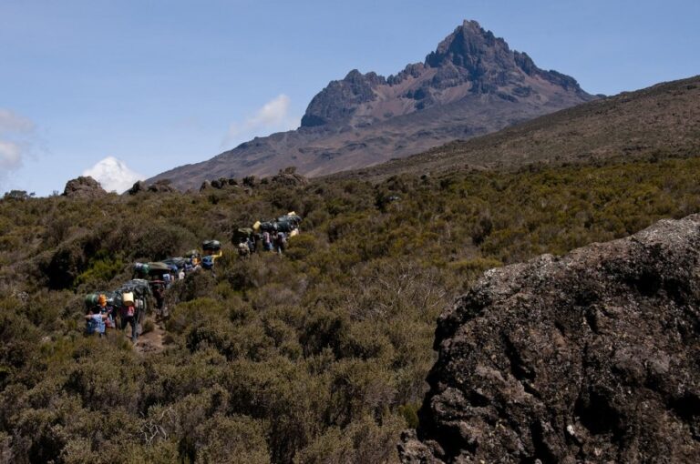 7 Days Rongai Route