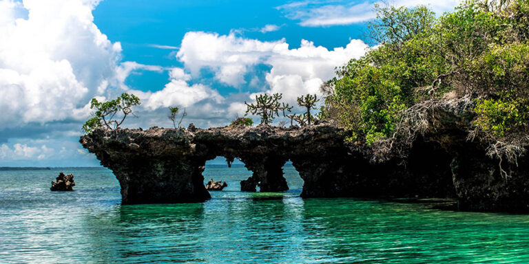 Safari Blue Zanzibar