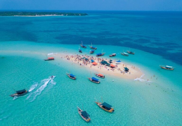 Safari Blue Zanzibar