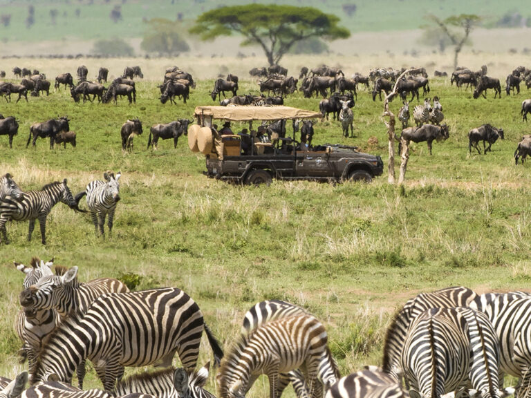 Serengeti National Park