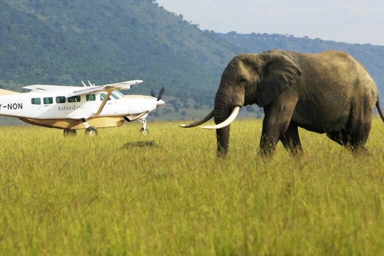 Tanzania Fly-In Safari