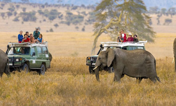 2-Day Tarangire and Ngorongoro Crater Safari