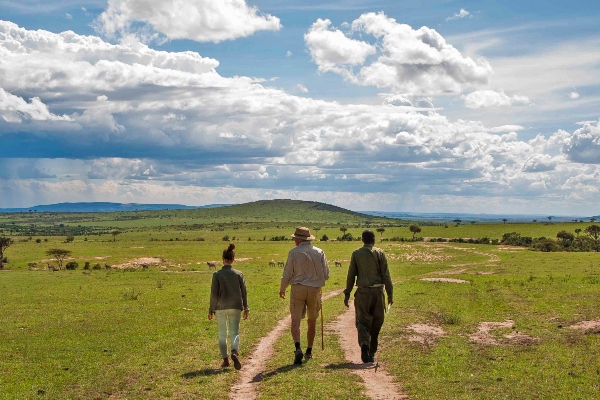 Day Trip to Nyerere National Park from Zanzibar