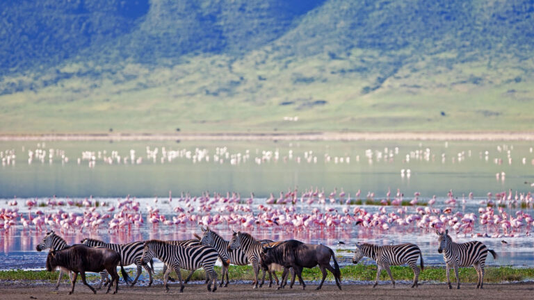 2-Day Serengeti and Ngorongoro Safari from Zanzibar