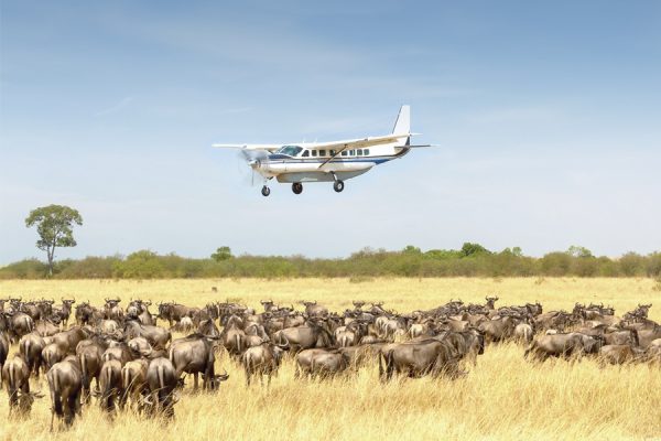 Tanzania Fly-In Safari